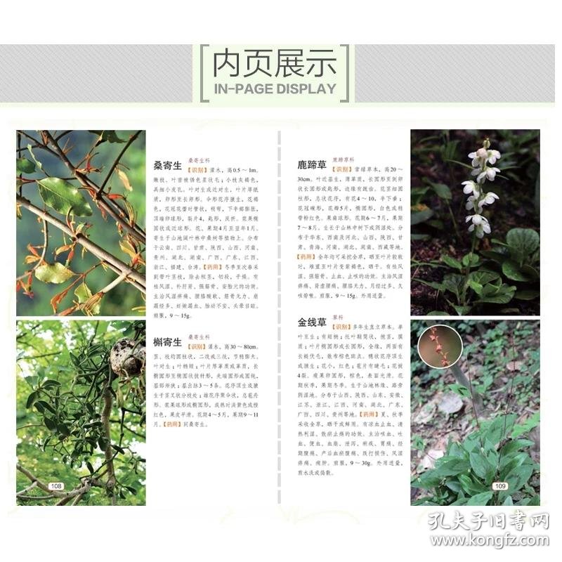 野生中草药收购市场动态解读