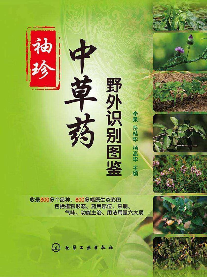 中草药批发市场的最新动态